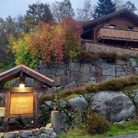 Chalet Typique Vosgien "Les Barbotines" ว็องทรง ภายนอก รูปภาพ