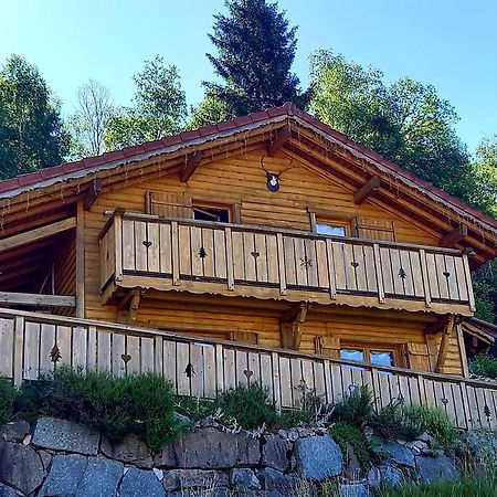 Chalet Typique Vosgien "Les Barbotines" ว็องทรง ภายนอก รูปภาพ