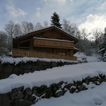 Chalet Typique Vosgien "Les Barbotines" ว็องทรง ภายนอก รูปภาพ