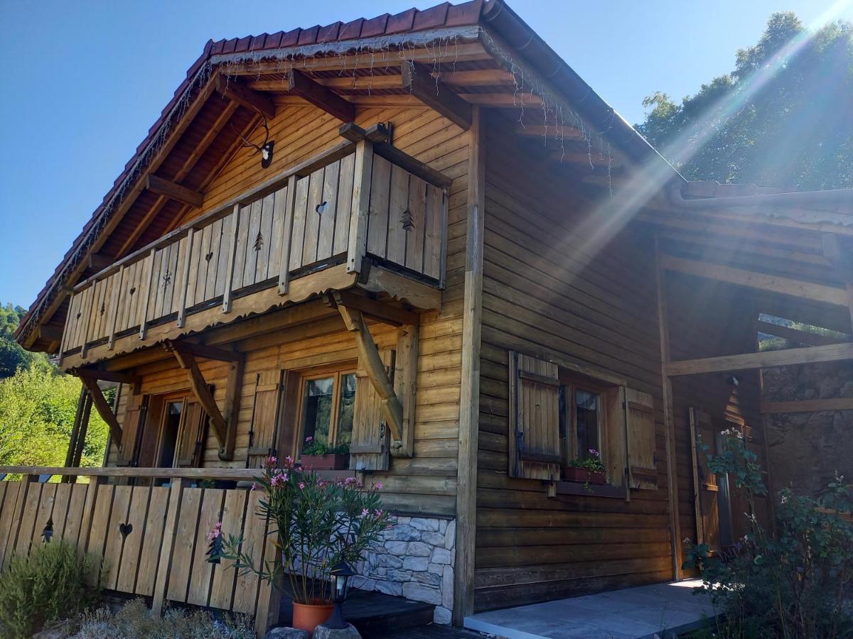 Chalet Typique Vosgien "Les Barbotines" ว็องทรง ภายนอก รูปภาพ