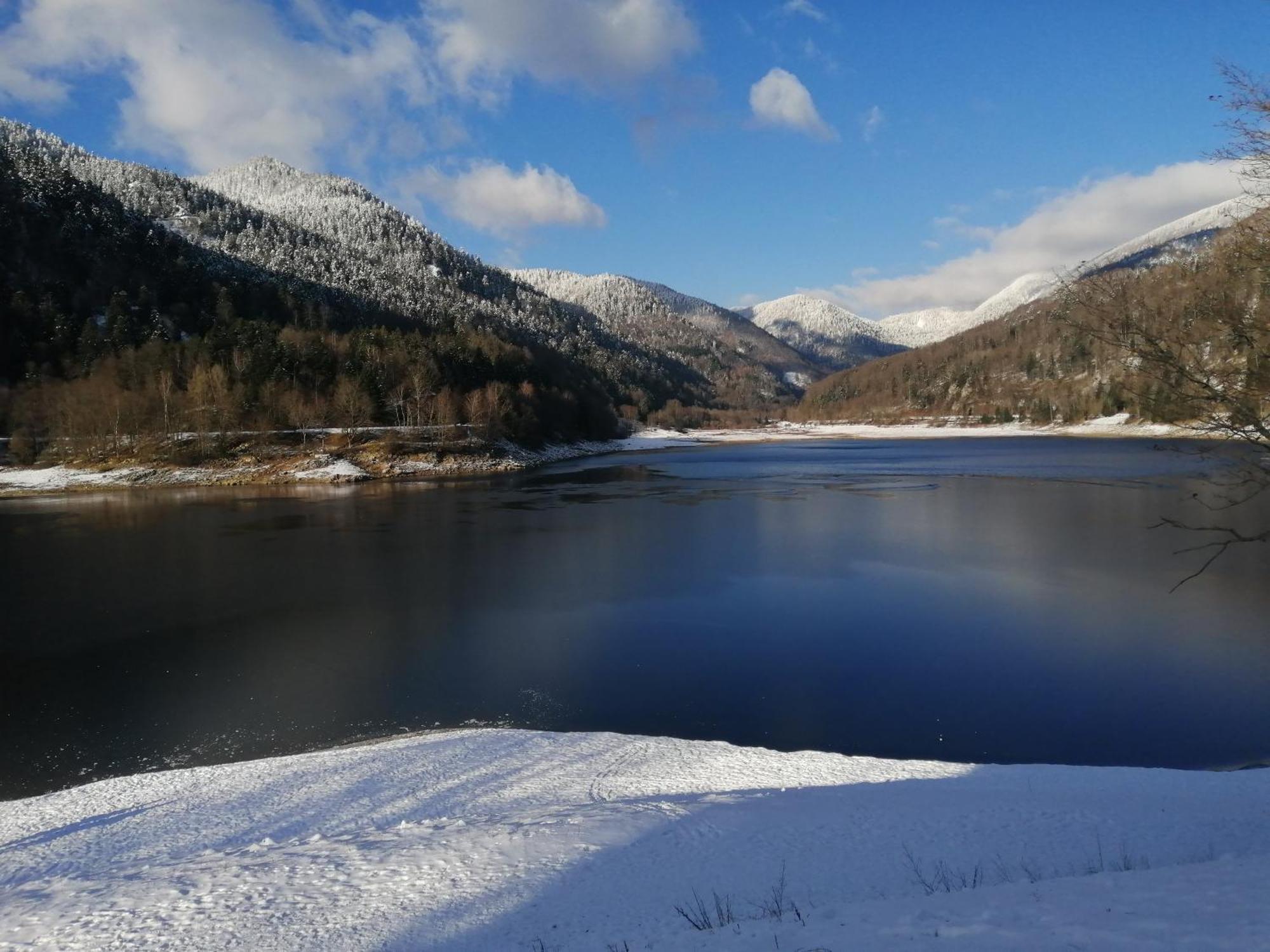 Chalet Typique Vosgien "Les Barbotines" ว็องทรง ภายนอก รูปภาพ
